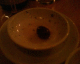 050623.polite olive_t.gif